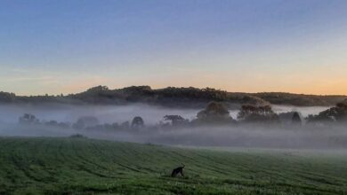 Foto de Previsão do tempo: sol, frio da manhã e calor da tarde no Sul do Brasil