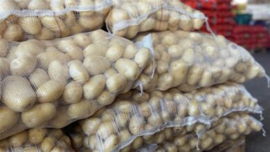 Foto de Consumo de frutas despenca e legumes disparam nas vendas na Ceasa/MS