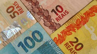 Foto de Oscilações nas cotações de soja marcam mercado de quarta-feira; confira preços no Brasil