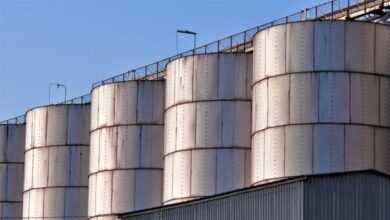 Foto de Com 61% das fazendas sem estrutura, silo-bolsa ganha espaço