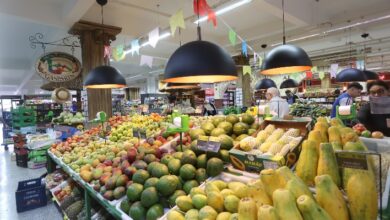 Foto de Oferta limitada e sazonalidade provocam oscilações nos preços das frutas no Paraná