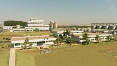 Foto de Be8 consegue mais R$ 290,2 milhões com BNDES para implantar fábrica de glúten vital no RS