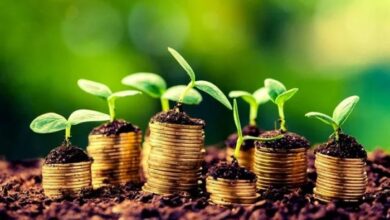 Foto de Aprovada lei que libera recursos da taxa CDO para apoio direto aos produtores rurais no Rio Grande do Sul