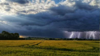 Foto de Semana será marcada por chuvas e calor em todo o Brasil