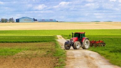 Foto de Agro sustenta economia em 2025, mas CNA alerta para cenário mais difícil em 2026