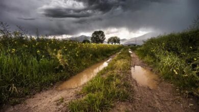 Foto de Previsão do tempo: chuva no Sul, seca extrema no Centro-Oeste e calor no Nordeste