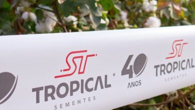 Foto de Tropical Sementes mira expansão nacional e projeta dobrar participação em soja e algodão até 2028