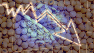 Foto de Commodities em queda: instabilidade global ameaça o produtor brasileiro