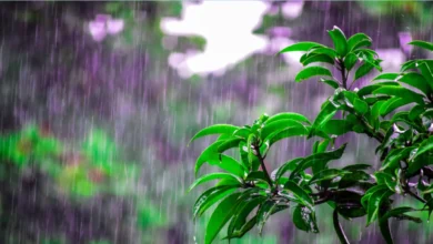 Foto de Semana terá chuvas e alívio do calor em grande parte do Brasil