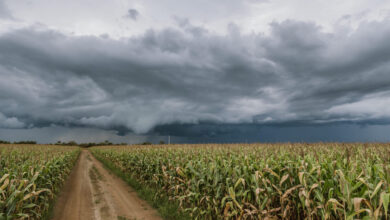 Foto de Previsão do Tempo: chuvas e temporais no Sul e Sudeste, calor e seca no Centro-Oeste e Nordeste
