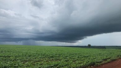 Foto de Previsão do Tempo: onda de calor atinge Sul, chuvas e instabilidade no Centro-Oeste e Nordeste