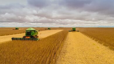 Foto de Para dar lucro, produtor de soja precisa de 60 sacas por hectare