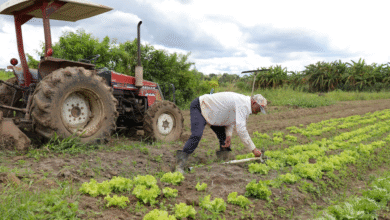 Foto de Prazo de adesão Programa ETR Acerta encerra sexta-feira (15)