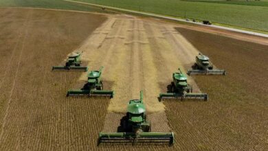 Foto de Safra maior, mas produtividade menor: as perspectivas da Conab para 2025/2026