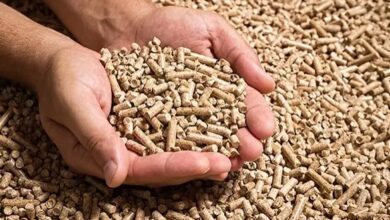 Foto de Consulta pública discute restrição de antimicrobianos em rações animais