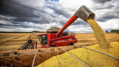 Foto de Preços da soja em alta generalizada no Brasil com demanda chinesa e vantagem tributária