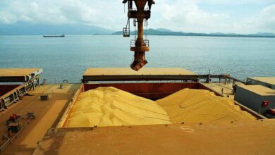 Foto de Programação de embarques projeta 3,379 milhões de toneladas de soja em dezembro no Brasil