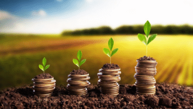 Foto de Plano Safra e Liberacao de Recursos para Agricultores