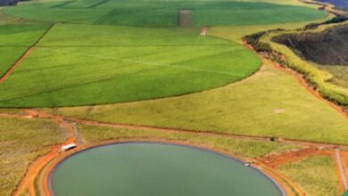 Foto de BrasilAgro ativa “mão compradora” em busca de ativos estressados. No balanço, registra queda nos lucros