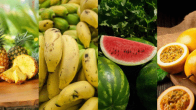 Foto de Tocantins abre inscrições para a 2ª edição da Rota da Fruticultura