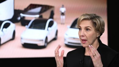 Foto de presidente do conselho da Tesla defende liderança do CEO em IA e robôs