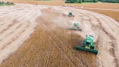 Foto de BNDES estuda criar fundo garantidor rural