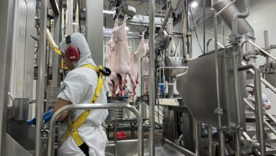 Foto de Brasil conquista autorização para exportação de carnes ao Azerbaijão