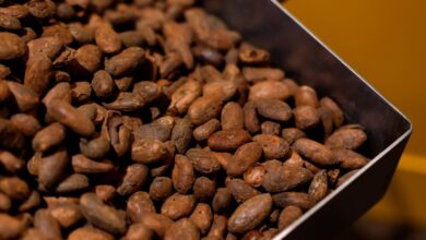 Foto de pressão dos EUA sobre o Brasil e seca elevam preço global do café