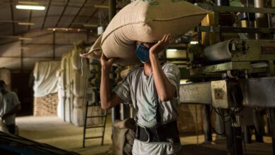 Foto de Em ação que ajuda o Brasil, deputados dos EUA querem isentar café de tarifas de Trump
