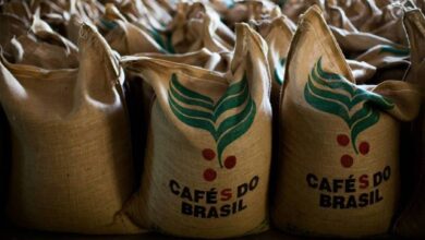 Foto de Efeito inesperado do tarifaço: preço do café dispara 30% no Brasil. E a tendência é de alta