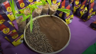 Foto de Produtor do ES conquista mercado ao transformar caroço de açaí em bebida