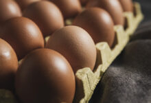 Foto de Produção de ovos em Sergipe salta 26,5% e atinge 10,7 milhões de dúzias