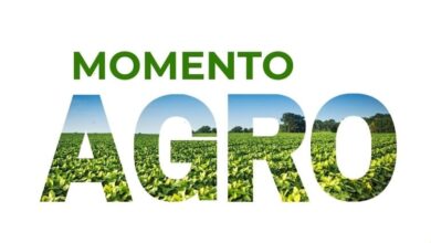 Foto de Canal Rural estreia novo projeto com Aurora Coop e Sebrae-SC