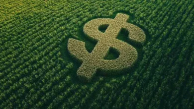 Foto de O recuo inevitável das debêntures: governo sofre pressão para isentar papéis do agronegócio