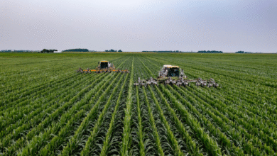Foto de FII RZTR11 adquire quatro imóveis no Maranhão; veja impacto nos dividendos