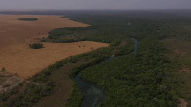 Foto de Derrubada de vetos traz licenciamento ambiental para século 21, diz Faesp