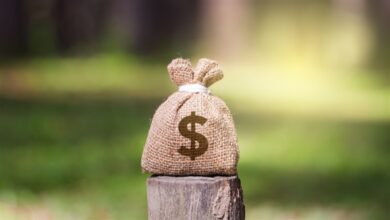 Foto de Isenção maior pode estimular investimentos no campo