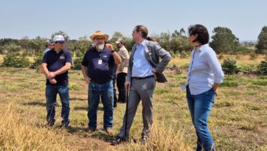 Foto de Tecnologias agrícolas brasileiras podem inspirar o desenvolvimento sustentável global, afirma Diretor da FAO