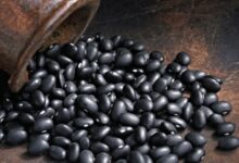 Foto de Semeadura do feijão chega a 60% da área prevista