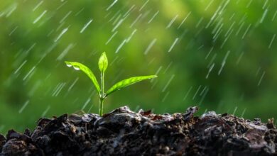Foto de Chuva avança pelo Brasil, mas fim de outubro será quente e seco