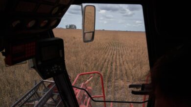 Foto de Trump diz que China comprará quantidades ‘tremendas’ de soja dos EUA após acordo