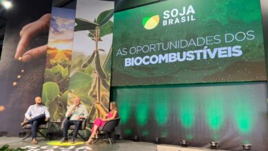 Foto de ‘Produtor tem papel central na transição energética brasileira’, aponta diretor da Ubrabio