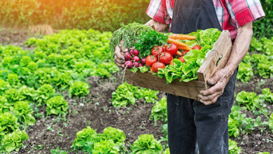 Foto de Lista de produtos que têm direito a bônus do PGPAF é atualizada; confira