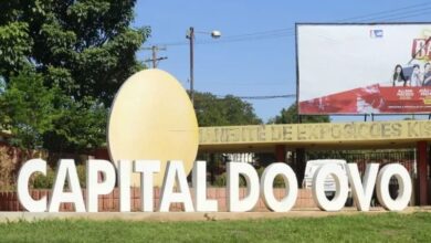 Foto de Capital do Ovo produz 22 milhões de unidades por dia e tem apenas 20 mil habitantes