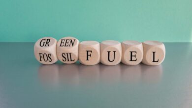 Foto de Mandatos estimulam biocombustíveis, mas geopolítica é ameaça