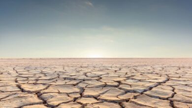 Foto de Quando o juro seca o campo