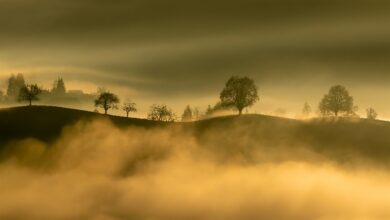 Foto de Frio deve persistir até o início do verão