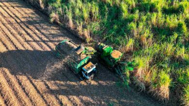 Foto de Raízen vende mais uma usina e soma R$ 4 bi em reestruturação