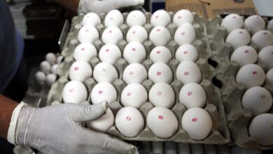 Foto de Mantiqueira anuncia aquisição da Hickman’s Egg Rach e firma expansão nos EUA