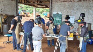 Foto de Sistema FAESC/SENAR oferece mais de 460 treinamentos gratuitos em Santa Catarina neste novembro
